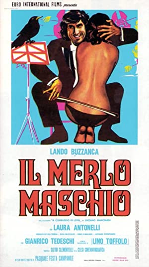 Il merlo maschio