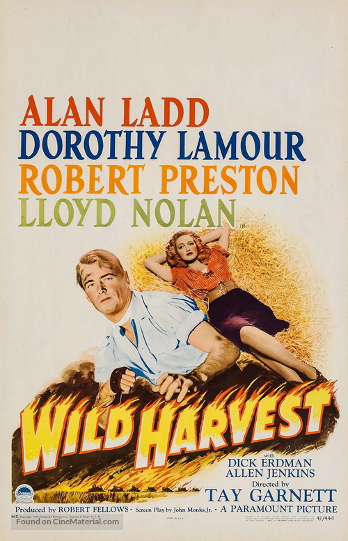 Wild Harvest